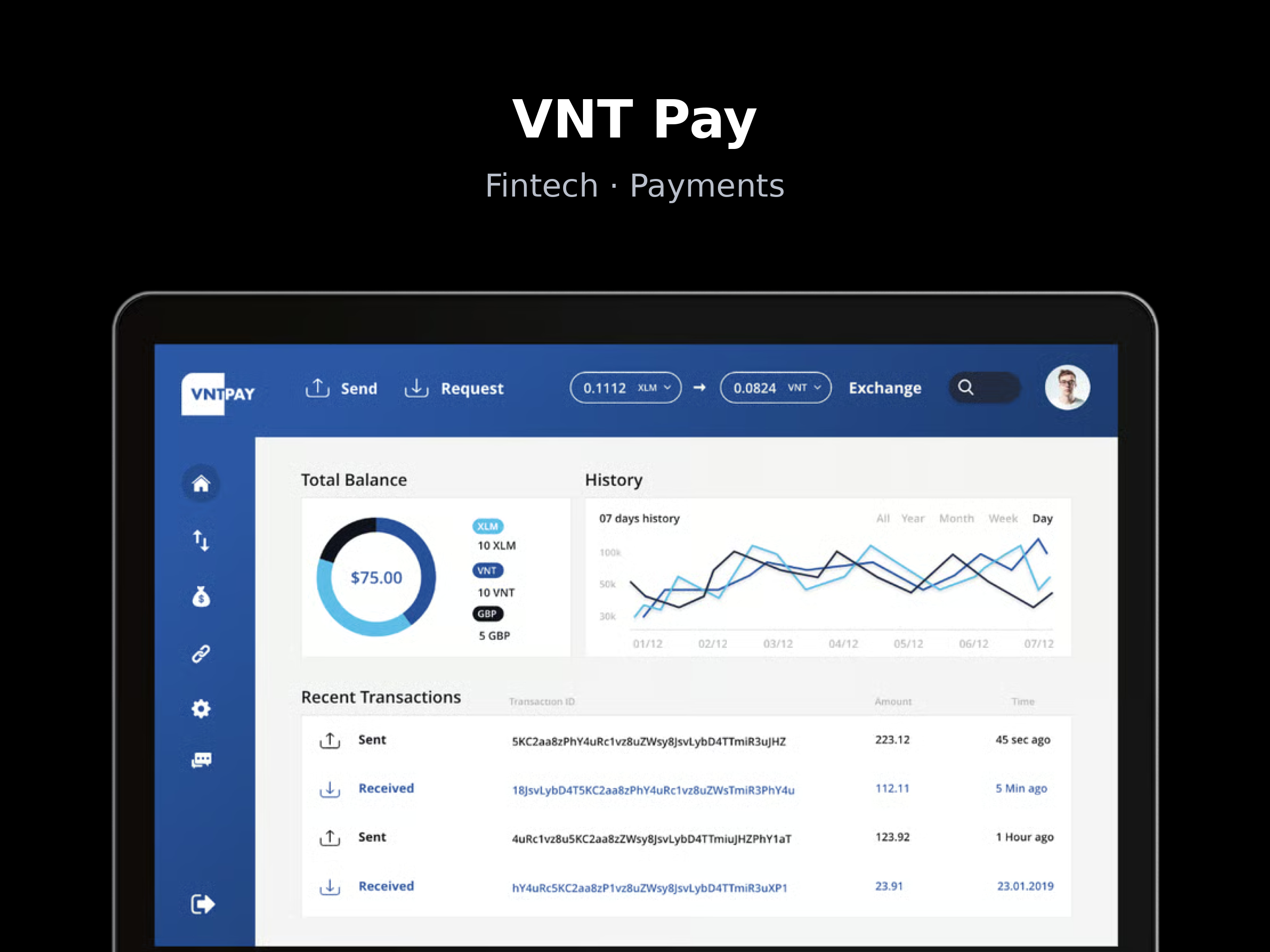VNT Pay, fintech